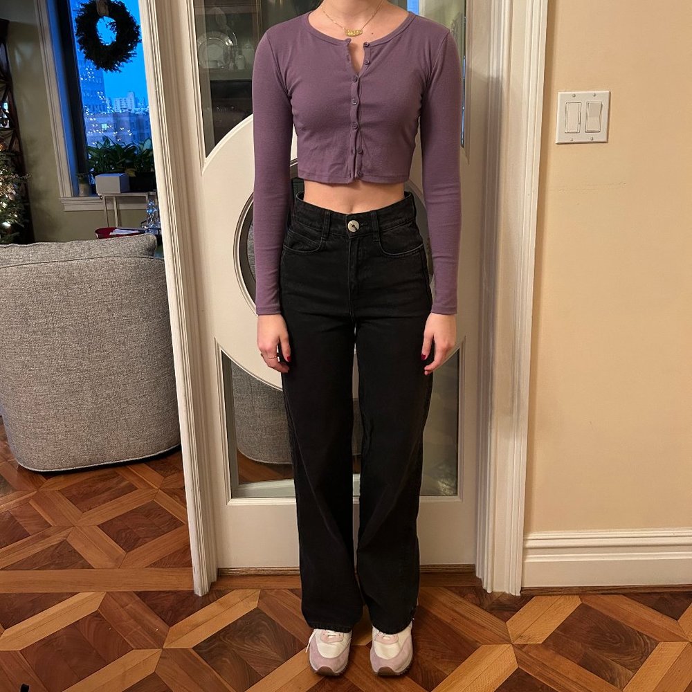 Aritzia Sunday Best Cropped Long Sleeve Shirt